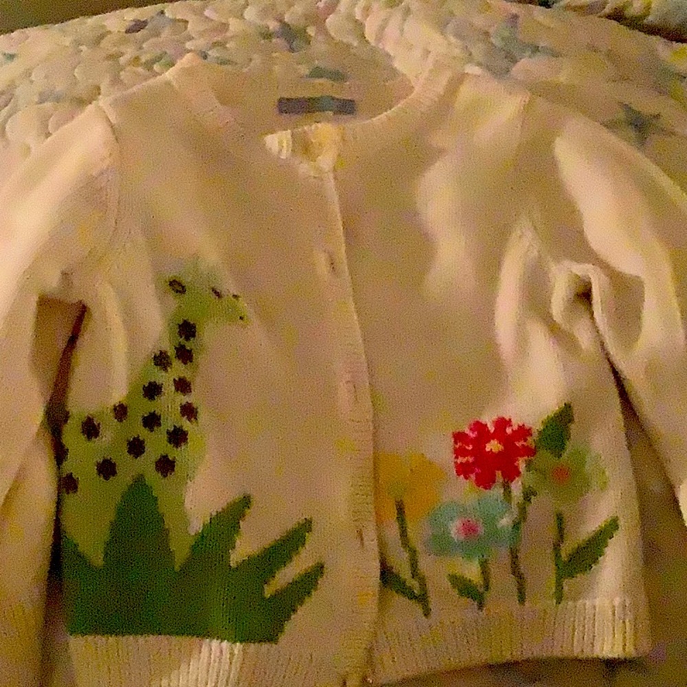 Really cute embroidered sweater